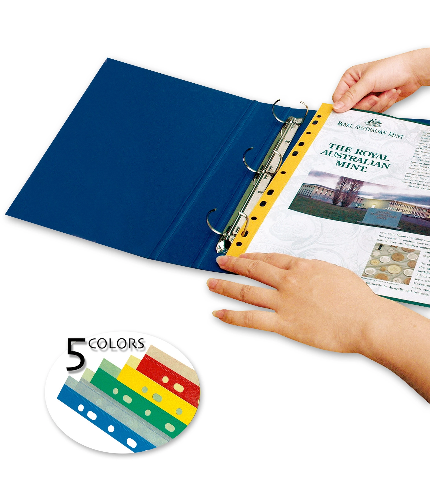 11-Hole Self-Adhesive Reinforcing Strip